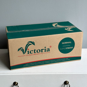Флористическая губка Victoria Normal